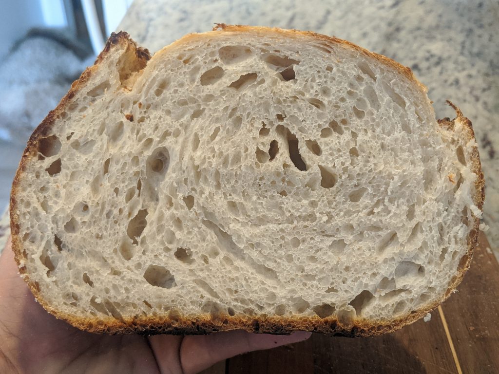 Good Sourdough Bread crumb shot