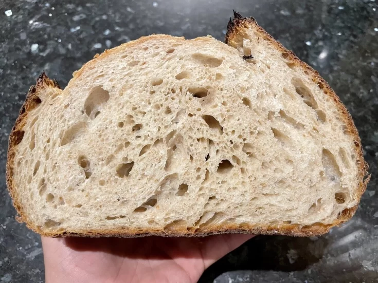 Same Day Sourdough Bread Recipe