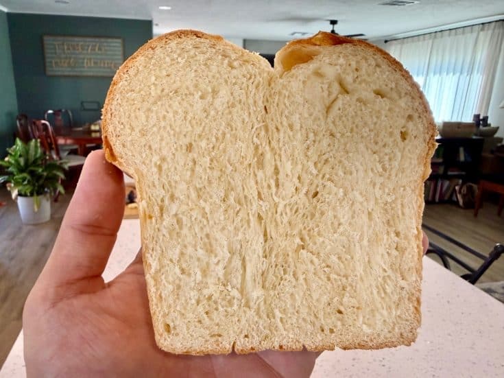 Sourdough Brioche